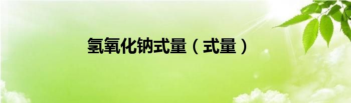 氫氧化鈉式量（式量）