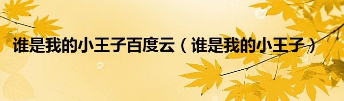 誰是我的小王子百度云（誰是我的小王子）