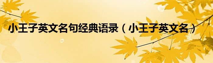 小王子英文名句經(jīng)典語錄（小王子英文名）