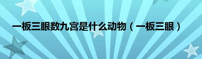 一板三眼數(shù)九宮是什么動物（一板三眼）