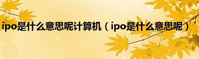 ipo是什么意思呢計算機（ipo是什么意思呢）