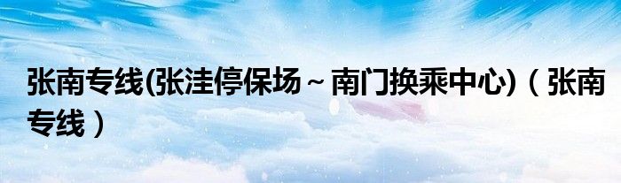 張南專線(張洼停保場～南門換乘中心)（張南專線）