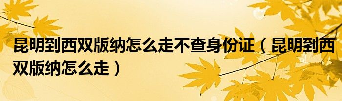 昆明到西雙版納怎么走不查身份證（昆明到西雙版納怎么走）
