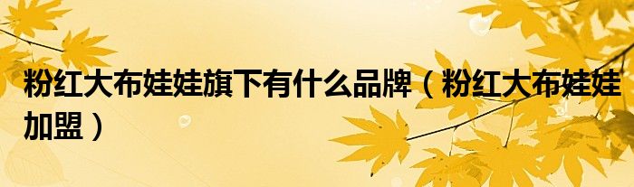 粉紅大布娃娃旗下有什么品牌（粉紅大布娃娃加盟）