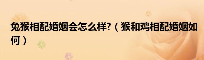 兔猴相配婚姻會(huì)怎么樣?（猴和雞相配婚姻如何）
