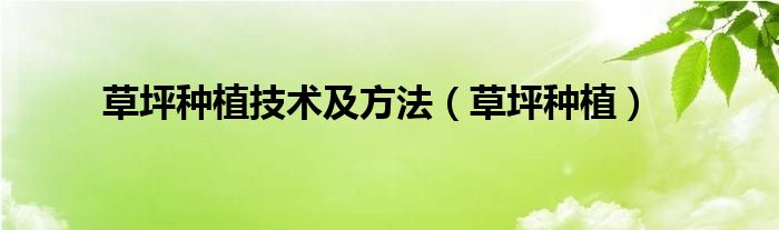 草坪種植技術(shù)及方法（草坪種植）