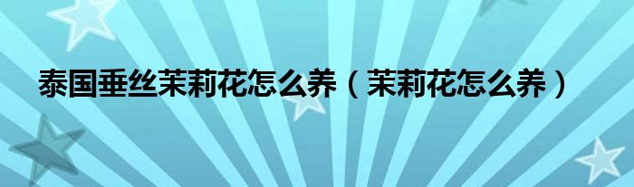 泰國(guó)垂絲茉莉花怎么養(yǎng)（茉莉花怎么養(yǎng)）
