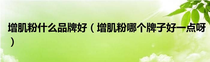 增肌粉什么品牌好（增肌粉哪個牌子好一點呀）