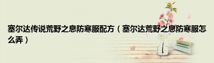 塞爾達(dá)傳說(shuō)荒野之息防寒服配方（塞爾達(dá)荒野之息防寒服怎么弄）