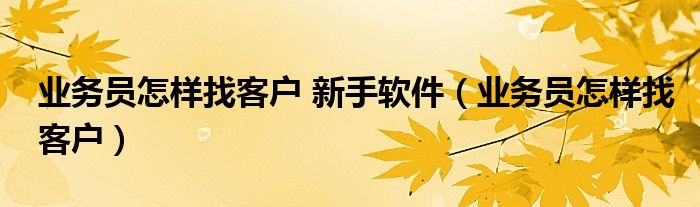 業(yè)務(wù)員怎樣找客戶 新手軟件（業(yè)務(wù)員怎樣找客戶）