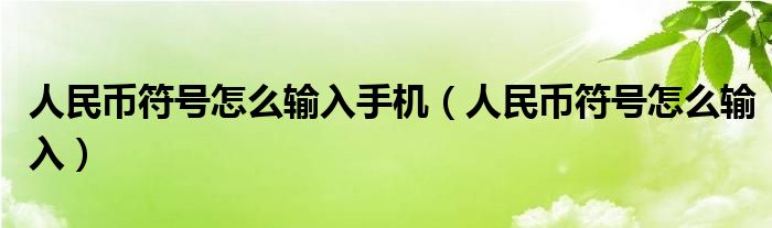 人民幣符號(hào)怎么輸入手機(jī)（人民幣符號(hào)怎么輸入）