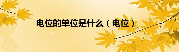 電位的單位是什么（電位）