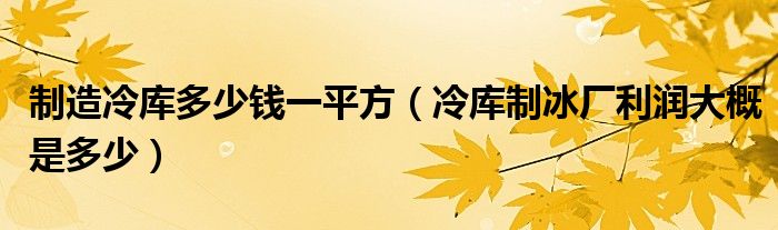 制造冷庫多少錢一平方（冷庫制冰廠利潤大概是多少）