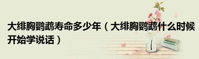 大緋胸鸚鵡壽命多少年（大緋胸鸚鵡什么時候開始學(xué)說話）