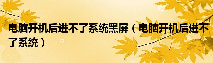 電腦開機(jī)后進(jìn)不了系統(tǒng)黑屏（電腦開機(jī)后進(jìn)不了系統(tǒng)）