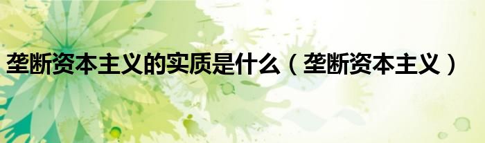 壟斷資本主義的實(shí)質(zhì)是什么（壟斷資本主義）