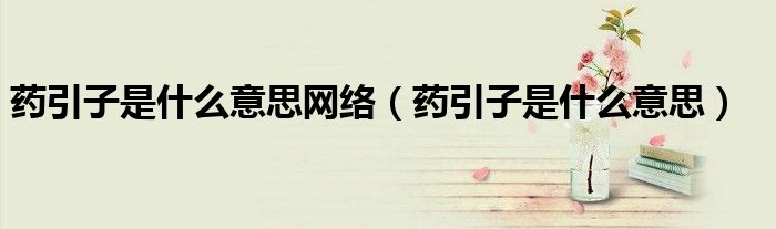 藥引子是什么意思網(wǎng)絡（藥引子是什么意思）
