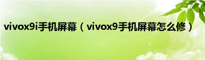 vivox9i手機屏幕（vivox9手機屏幕怎么修）