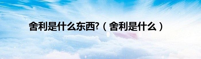 舍利是什么東西?（舍利是什么）