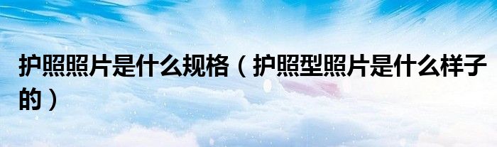 護(hù)照照片是什么規(guī)格（護(hù)照型照片是什么樣子的）