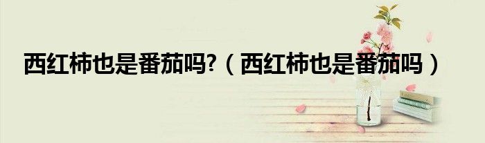 西紅柿也是番茄嗎?（西紅柿也是番茄嗎）