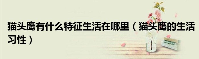 貓頭鷹有什么特征生活在哪里（貓頭鷹的生活習(xí)性）