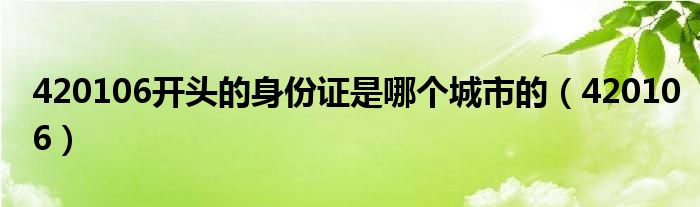 420106開頭的身份證是哪個(gè)城市的（420106）