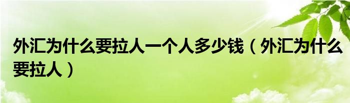 外匯為什么要拉人一個(gè)人多少錢（外匯為什么要拉人）