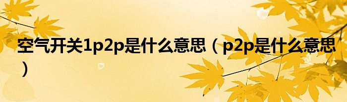 空氣開關(guān)1p2p是什么意思（p2p是什么意思）