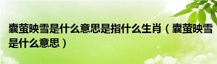 囊螢映雪是什么意思是指什么生肖（囊螢映雪是什么意思）