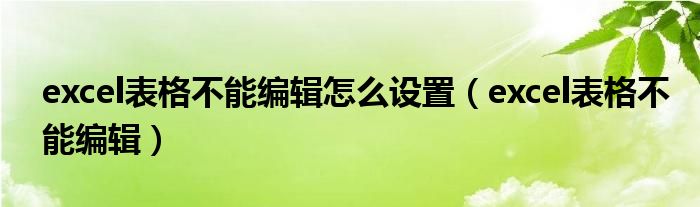 excel表格不能編輯怎么設(shè)置（excel表格不能編輯）