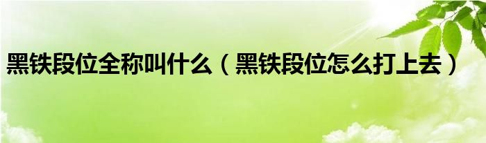 黑鐵段位全稱叫什么（黑鐵段位怎么打上去）