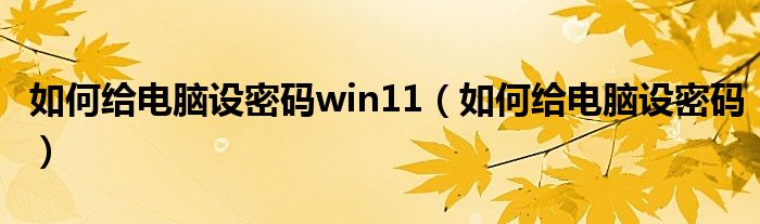 如何給電腦設密碼win11（如何給電腦設密碼）
