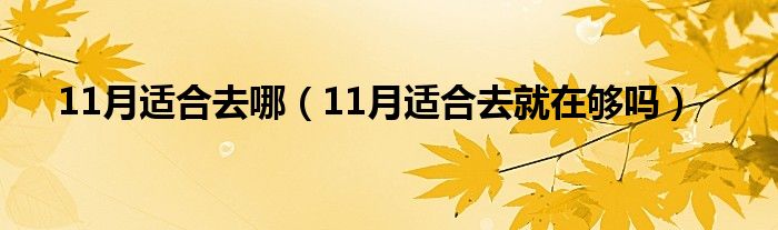 11月適合去哪（11月適合去就在夠嗎）