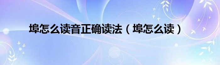 埠怎么讀音正確讀法（埠怎么讀）
