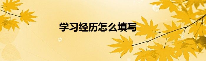 學(xué)習(xí)經(jīng)歷怎么填寫