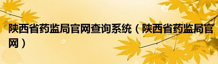 陜西省藥監(jiān)局官網查詢系統(tǒng)（陜西省藥監(jiān)局官網）