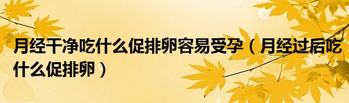 月經(jīng)干凈吃什么促排卵容易受孕（月經(jīng)過后吃什么促排卵）