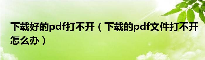 下載好的pdf打不開(kāi)（下載的pdf文件打不開(kāi)怎么辦）