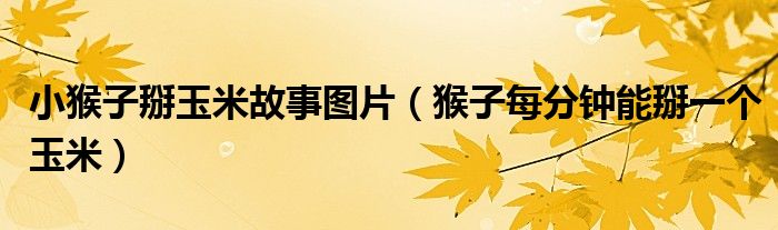 小猴子掰玉米故事圖片（猴子每分鐘能掰一個(gè)玉米）