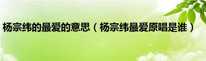 楊宗緯的最?lèi)?ài)的意思（楊宗緯最?lèi)?ài)原唱是誰(shuí)）