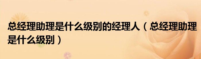 總經(jīng)理助理是什么級別的經(jīng)理人（總經(jīng)理助理是什么級別）