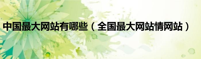 中國最大網(wǎng)站有哪些（全國最大網(wǎng)站情網(wǎng)站）