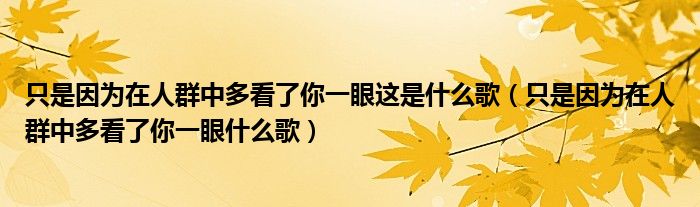 只是因為在人群中多看了你一眼這是什么歌（只是因為在人群中多看了你一眼什么歌）