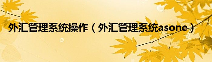 外匯管理系統(tǒng)操作（外匯管理系統(tǒng)asone）