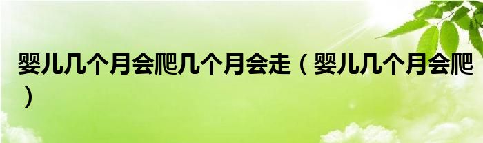 嬰兒幾個月會爬幾個月會走（嬰兒幾個月會爬）