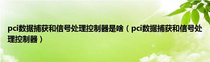 pci數(shù)據(jù)捕獲和信號處理控制器是啥（pci數(shù)據(jù)捕獲和信號處理控制器）