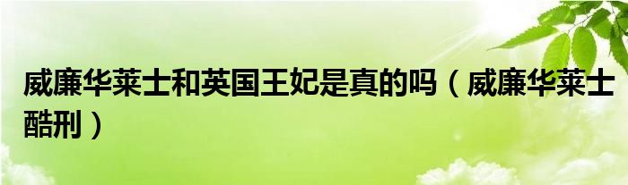 威廉華萊士和英國王妃是真的嗎（威廉華萊士酷刑）