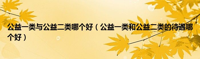 公益一類與公益二類哪個好（公益一類和公益二類的待遇哪個好）