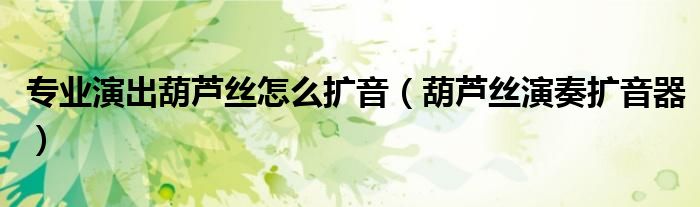 專業(yè)演出葫蘆絲怎么擴(kuò)音（葫蘆絲演奏擴(kuò)音器）